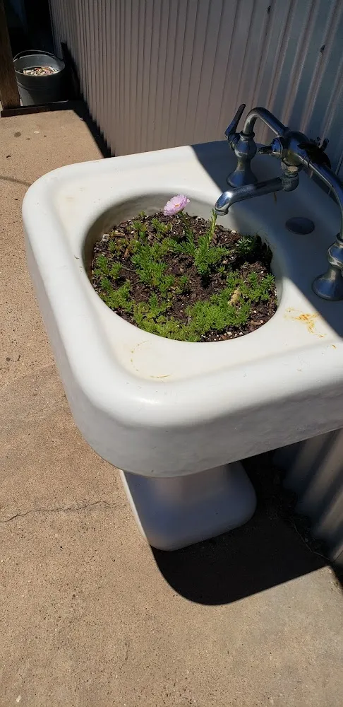 Flower Pot Outside